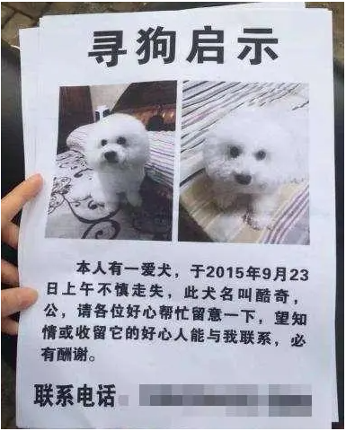 别人帮忙找到宠物狗 | 宠物狗丢了“网友”帮忙寻找,向主人索要近3万涉嫌诈骗被诉