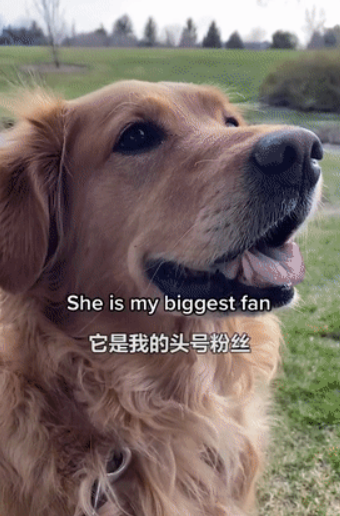 因为养狗,一年减了177斤