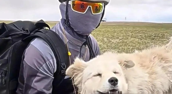 路上捡到一只死活不走的流浪狗，四条腿都磨破皮了