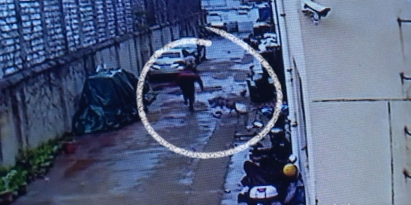 男子被金毛犬追赶摔倒骨折 狗主人是否该承担责任?