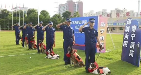 别了,汪汪队!南宁消防7条搜救犬退役到“新家”