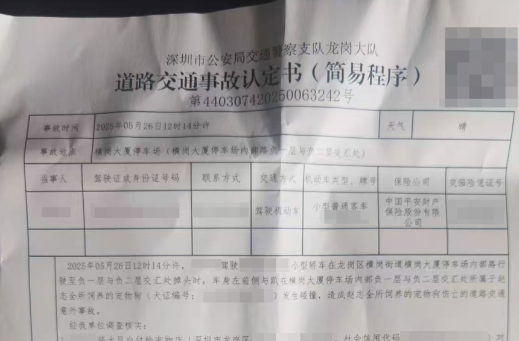 送宠物店洗澡的小狗因店员疏忽跑出被撞死:主人索赔数万,协商未果