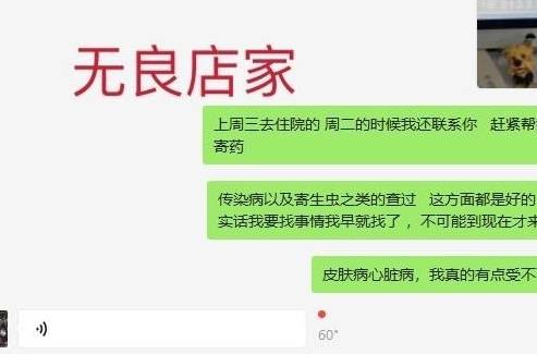 杭州网友一次买狗经历,八百元变成一万元