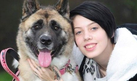 在主人最危急的時候 秋田犬猛力一拍 救了主人一命