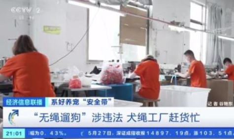 最新《动物防疫法》带火犬绳热销!千亿宠物市场,都是“铲屎官”的功劳