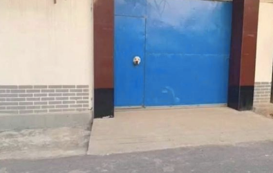 经过他人家时,发觉大门上卡着一颗狗头,猫眼落伍了流行狗眼了?