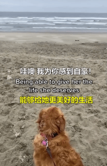 因为养狗,一年减了177斤