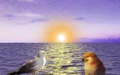 不管你信不信,这只柴犬在B站就是秦始皇