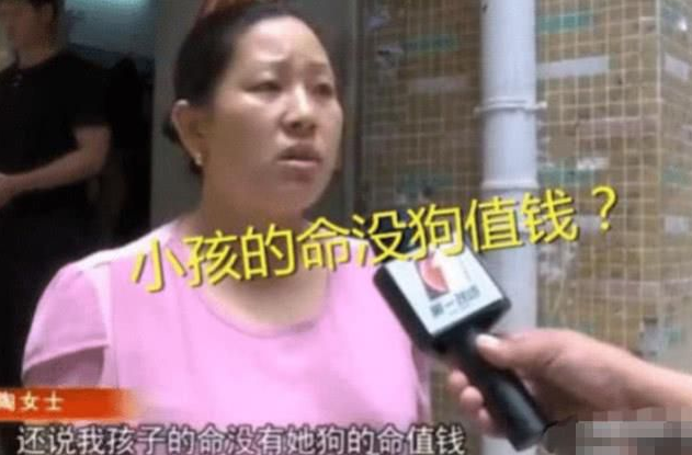 6岁男童被狗咬伤,反被狗主人索赔2万,难道小孩的命没狗值钱?