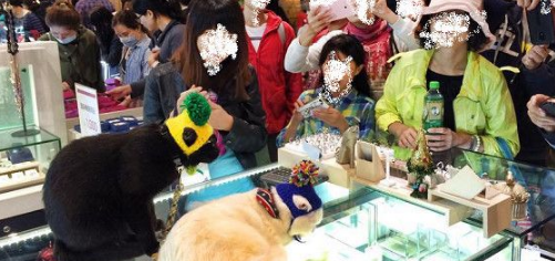 黑猫跟主人买早餐 隔壁阿嬷问:是不是导盲犬?