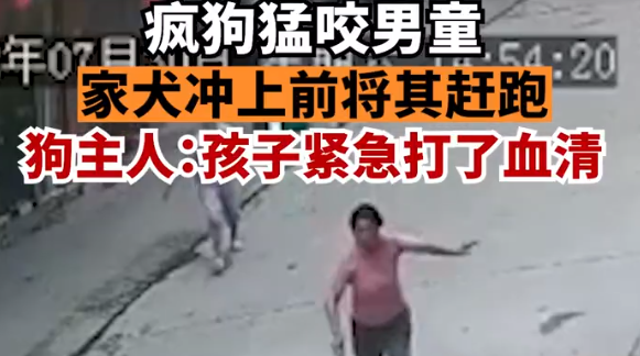 疯狗扑咬幼童,家犬冲上前将其赶跑,犬主:养了7年很有灵性