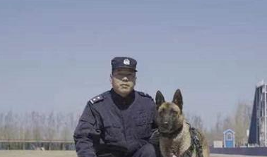 “青铜”变“汪者”!冰城警犬“太极”“嗨畏”被评为功勋犬