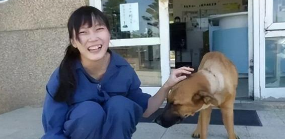 “美女兽医”简稚澄:给700只流浪狗安乐死后自杀