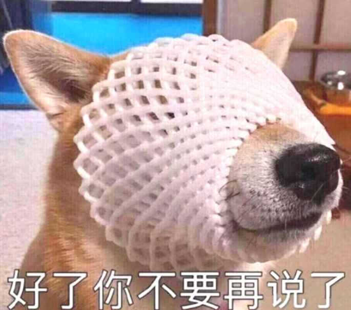 主人让土狗自己挑选姓名,见到它的挑选后立即笑喷了