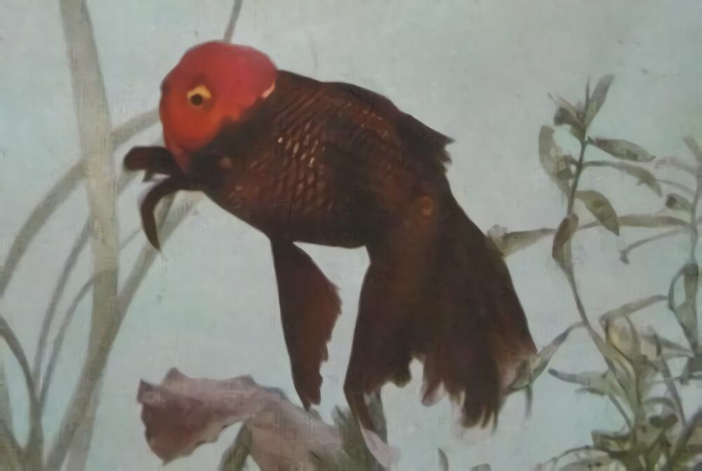 朱顶紫罗袍身份信息