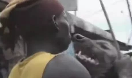 比藏熬还凶狠的非洲鬣狗，咬力达900斤，非洲黑人却当小宠物养！