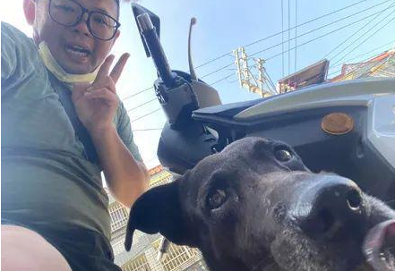 网友在路边回信息,结果被狗子强迫搭霸王车:不认识你呀!