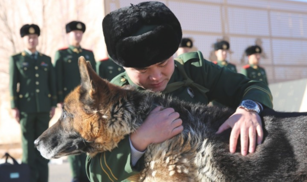 士兵与忠犬的各自照,哪一張会给你落泪