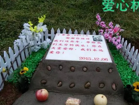 宠物天堂墓地昌平 | 宠物墓地故事:老人为狗不离婚,狗一死马上去民政局