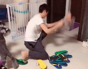 为教育狗狗不乱咬拖鞋,主人以此招示范,不料吓得狗狗相互抱团