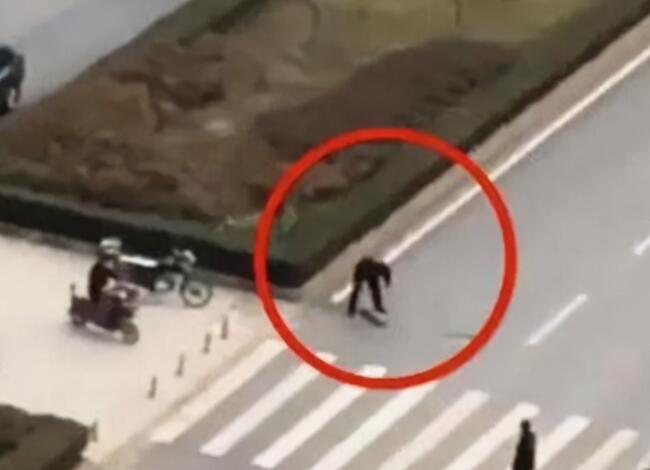 宠物狗闯红灯被车撞死,狗主人向车主索赔18万?交警判罚让人拍手称快