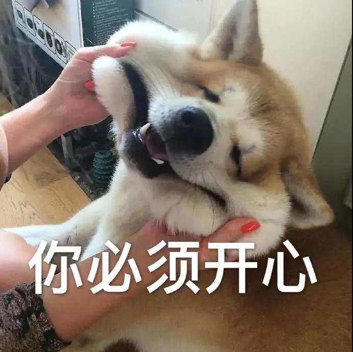 狗狗为什么老叹气呢?难道我亏待它了?
