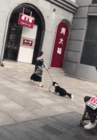 老婆要去购物小狗拼了命阻止:你丈夫嘱咐了不能让你胡乱花钱!