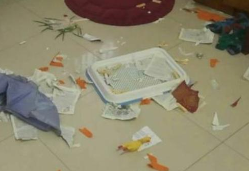 了解我很喜欢小狗,好闺蜜送过来一只金毛,觉得它是重要人的节奏感