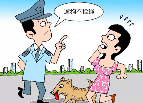 路上被狗咬时把狗踢死了,是否需要负法律责任《民法典》告诉你