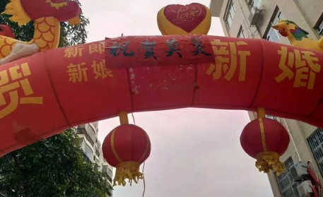 广西一金毛生10只小狗 主人高兴摆酒庆祝