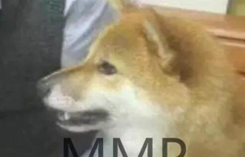 主人为防柴犬偷吃,出此奇招,柴犬看到“狗头”就懵了