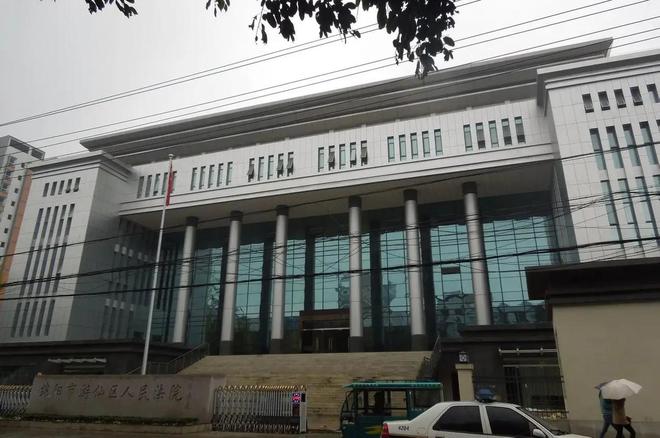 恩将仇报!女子“被狗撞残”索赔15万被拒,帮助者:好心没好报!