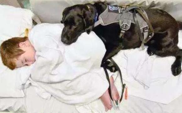 邻居: 狗又不养你要孝顺父母, 网友: 孝顺父母不是天经地义的事吗