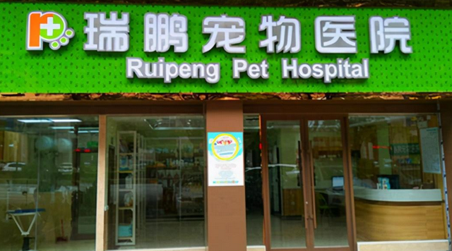 给猫狗治病的宠物医院,吸金能力吊打给人治病的莆田系?