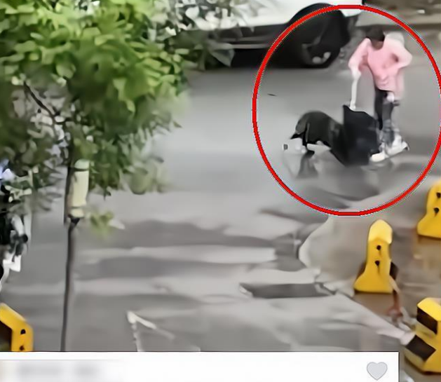 “险象环生”西安一女童遭流浪野狗追赶被五旬保安迅速抱起逃离!