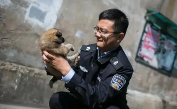 安徽宠物犬被捕狗队抓走送市场宰杀加工,残忍行为引发社会争议!