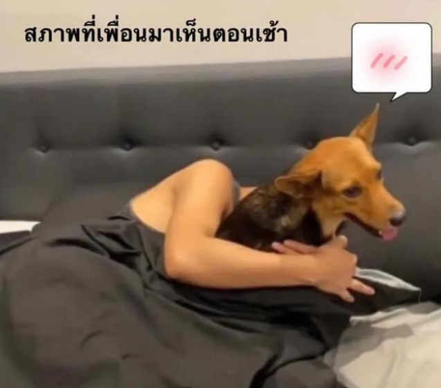 泰国小哥喝断片,醒后发现家里多了只狗?好友:昨晚你绑回来的!