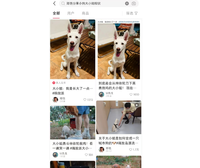 郑恺分享小狗大小姐现状,前后差别太大...