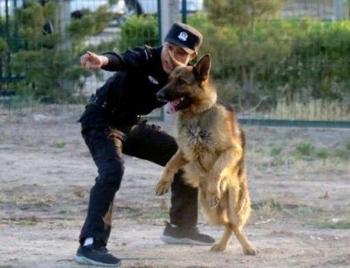 邻居: 狗又不养你要孝顺父母, 网友: 孝顺父母不是天经地义的事吗