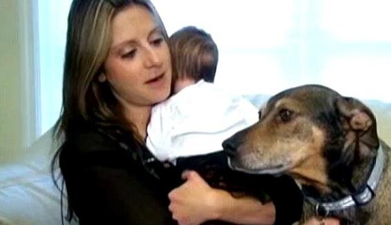 夜晚狗狗突然朝主人大叫，主人醒来后，才知狗狗救了自己孩子的命