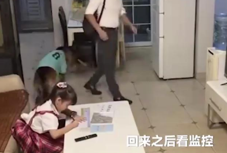 听到主人回家的声音,狗狗立刻提醒小主人关电视!但还是露馅