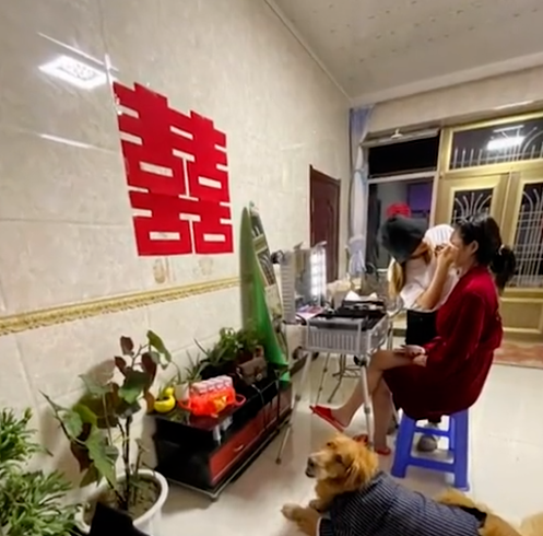破甲了!辽宁一女子嫁人时,迎亲一瞬间祖父捂着守候8年的狗狗双眼