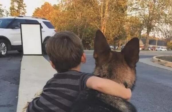 孩子与狗狗真的不能共存吗?看看国内外专家是怎么说的!