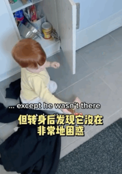 小女孩钻防护架救狗被困,哭着请求消防员:“叔叔,能不能先救狗狗?”