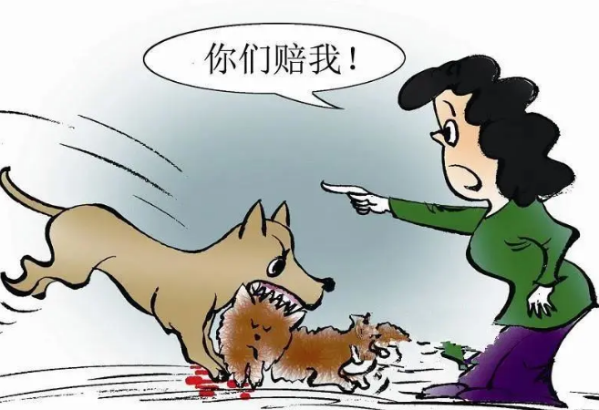 “狗咬狗”引争端,医药费谁承担?