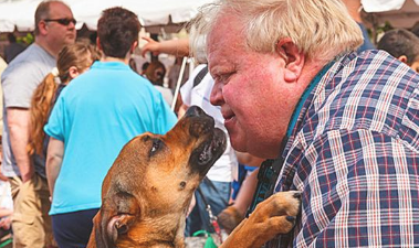 铲屎官挖地自身跳,找来父母照料狗狗,出差回家了后却发觉影响力不保