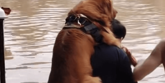 暴雨无情,人间有爱!主人背着金毛犬蹚水撤离