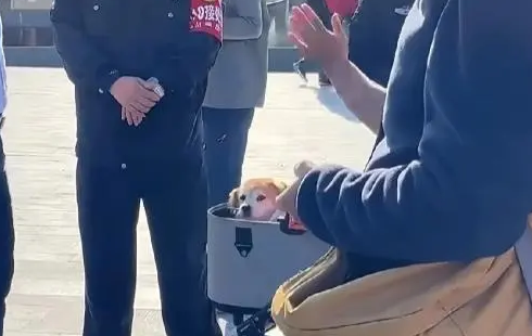 北京大姨带宠物狗进博物馆被拒发飙：它15岁了，必须进去看一眼！