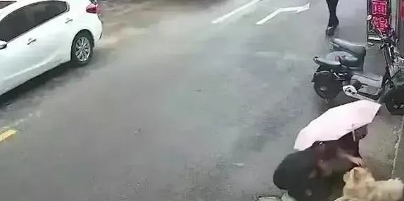 反转来了!江苏被狗咬女子不冤!她拔狗毛了