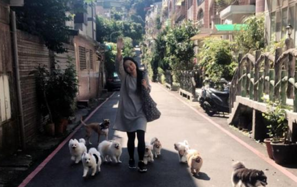 突发火灾夺去9只爱犬生命,主人含泪发文提醒,用电安全很重要
